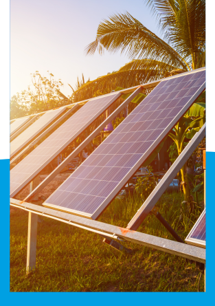 SOLAR PANEL CLEANING BRUSH